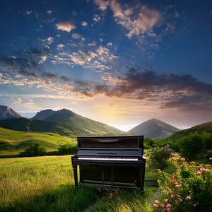 The Still Glow Of Afternoon
