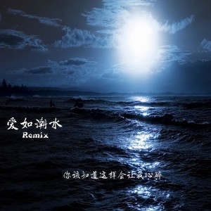 爱如潮水Remix封面