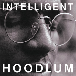 Intelligent Hoodlum