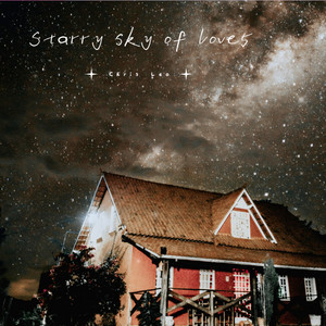 Starry sky of love5