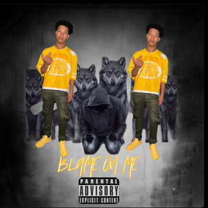 Blame on me (Explicit)