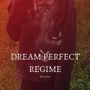 Dream Perfect Regime