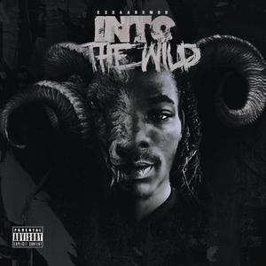 Into The Wild (Explicit)