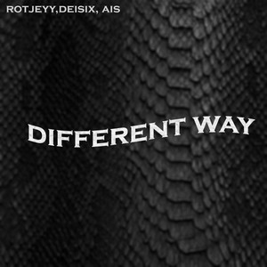 Different Way