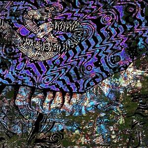 ANIMAL SPIRITS (Explicit)