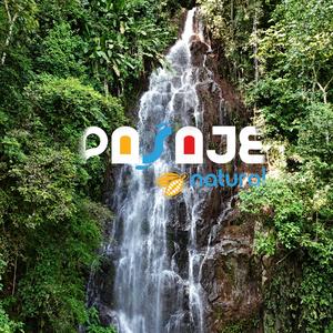 Pasaje Natural