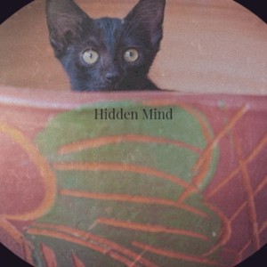 Hidden Mind