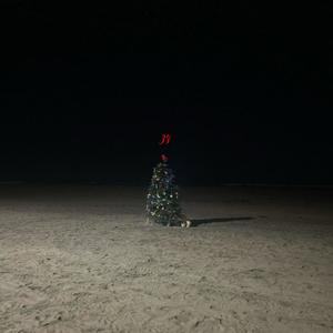 Christmas Bash (Explicit)