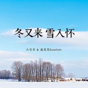 冬又来 雪入怀