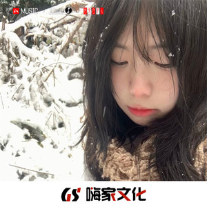 精彩鹤七 - 故事与她 (DJ版)