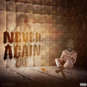 Never Again (Explicit)