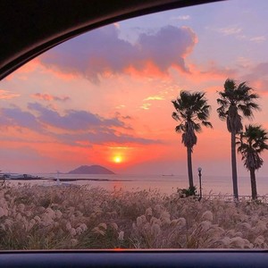 海岸边