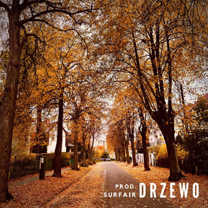 Drzewo (Explicit)