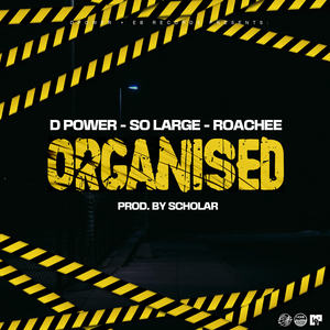Organised (Radio Edit)