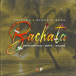 BAchaTa BeaTs AnD iNsTrumentaLs