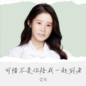 可惜不是你陪我一起到老 (Dj许伟版)