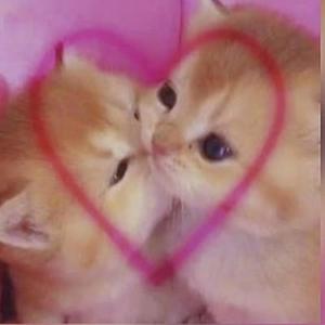 Drown! (feat. Johnny Friend)