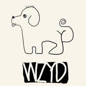 WZYD