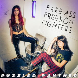 Fake Ass Freedom Fighters (Explicit)