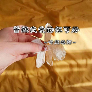 曾经我爱的你可好