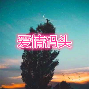 不是因为寂寞才想你 (烟嗓版)