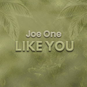 Joe One - Like You