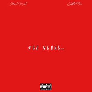 She Wanna (feat. GoldieMacc) [Explicit]