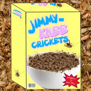 Jimmy Knee Crickets (feat. Radar Theory) (Explicit)