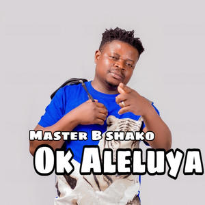 Ok aleluya (feat. Master B shako)