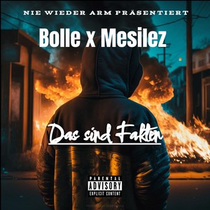 Das sind Fakten (Explicit)