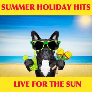 Summer Holiday Hits: Live For the Sun