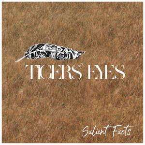 Tigers Eyes