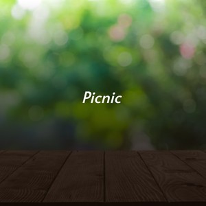 Picnic