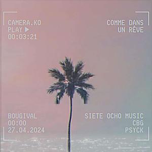 Comme Dans Un Rêve (feat. CBG & Psyck) (Explicit)