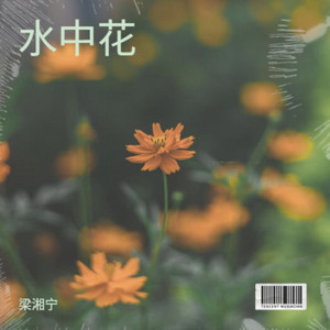 水中花（这纷纷飞花已坠落）