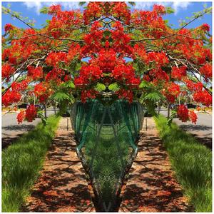 Float (I Feel A Way) (feat. Selwyn Mendez)