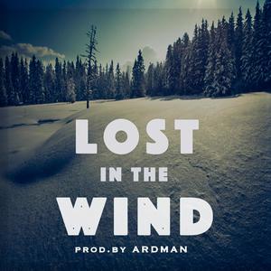 LOST IN THE WIND