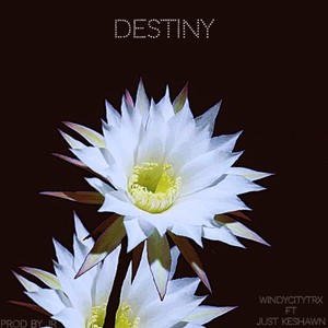 Destiny