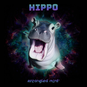 Hippo
