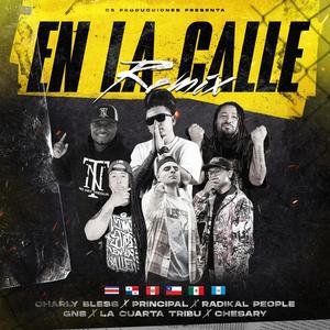 En la calle (Radikal People, La cuarta tribu, Chesary, Principal 507 & GNS Remix - Latinoamérica)