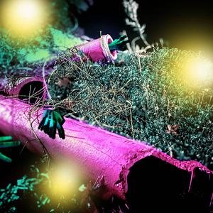 Wop Wop (feat. Dead Raven) (Explicit)