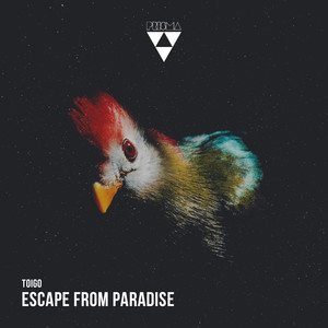 Escape From Paradise