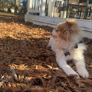 alittlebitofspace. (2023)