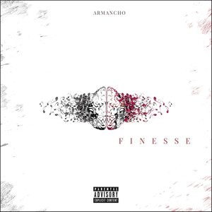 Finesse (Explicit)