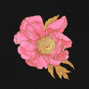 Yeroushalayim Shel Zahav (Live)