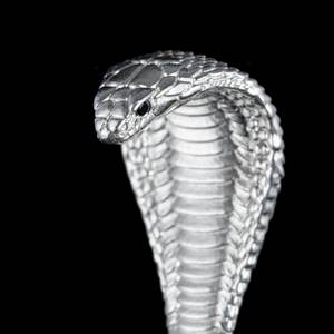 Cobra (Explicit)