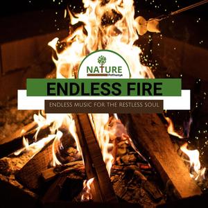 Endless Fire - Endless Music for The Restless Soul