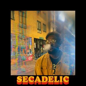 Secadelic (Explicit)