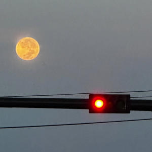 Jack and Sally (I Might Just Die) (Explicit)