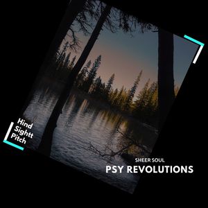Psy Revolutions (Original Mix)